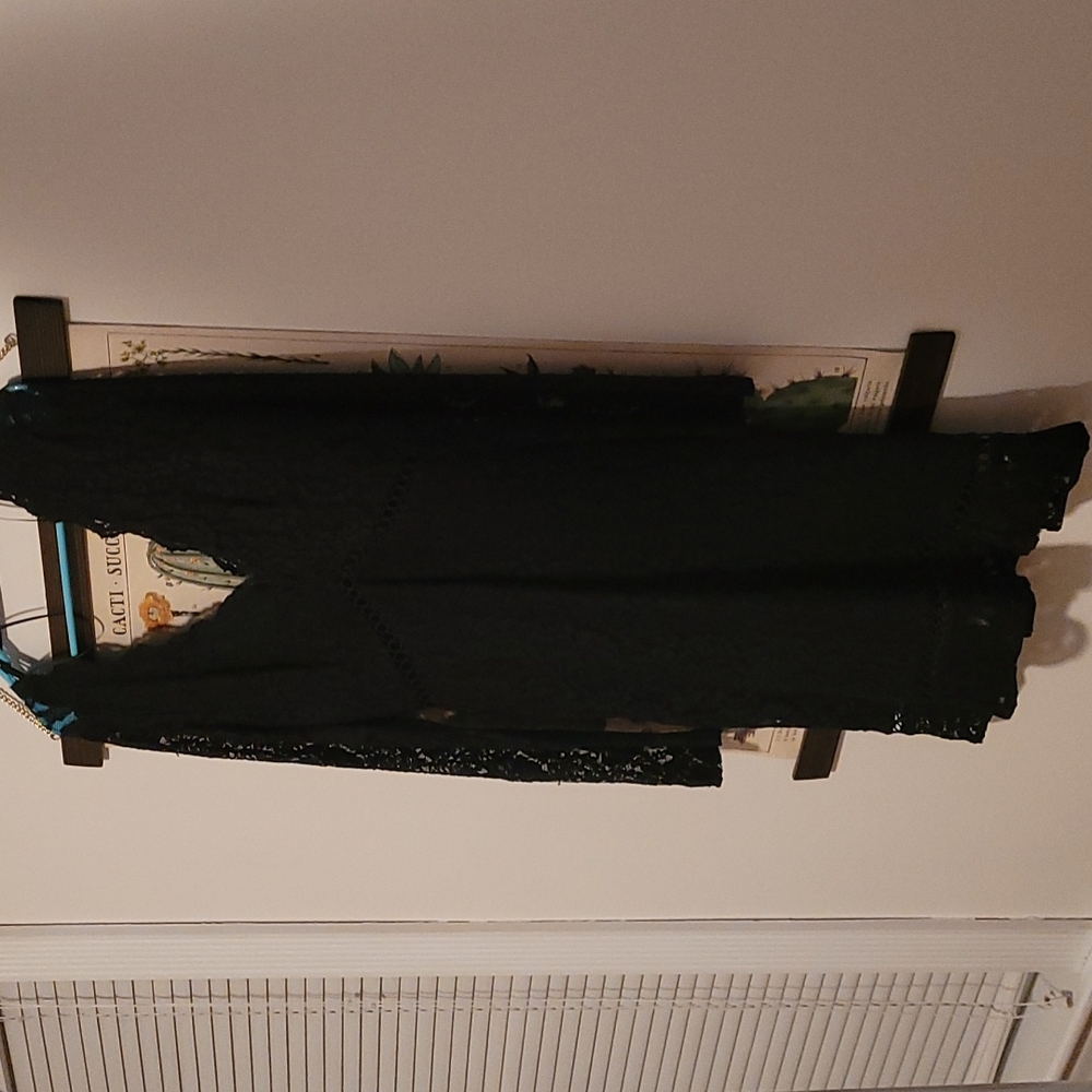 Express deep v lace Party dress